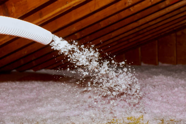 Best Insulation Installation Services in Chariton, IA