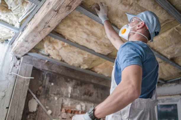 Best Specialty Insulation in Chariton, IA